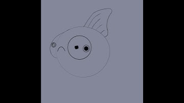 Fish part 1 #procreate #drawing #fish