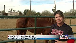 Celebrity A proposed bill aims to help abused animals Net Worth