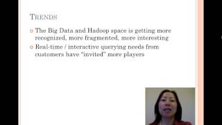 Famous Big Data Opportunities and Challenges Profile