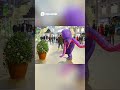 Crazy Bushman Prank Fails: Best Surveillance Camera Content of 2025!