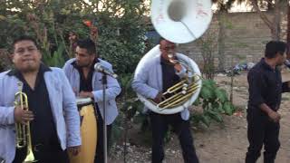 Happy Happy - Salt and Lemon - The Ahualulco Banda Amigos 2019
