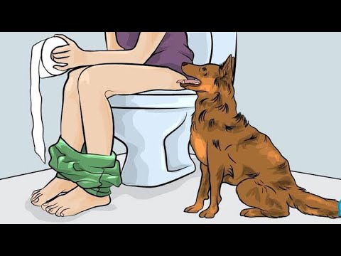 There’s a reason a dog will follow you to the restroom and other things dogs do explained