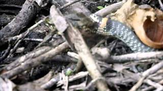 SDC13240.AVI