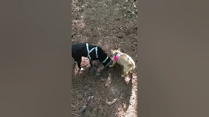 Lois & Nezzie on the Trail