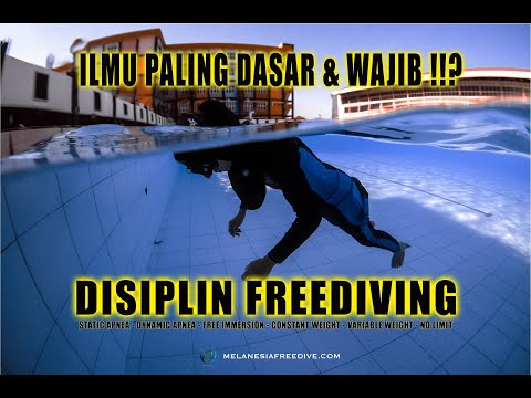 Video: Panduan Utama Peralatan Freediving Untuk Pemula