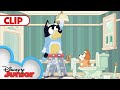 Day In The Life With The Heelers 💙 | Bluey | @Disney Junior