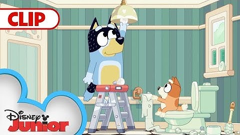 Day In The Life With The Heelers 💙 | Bluey | @disneyjr