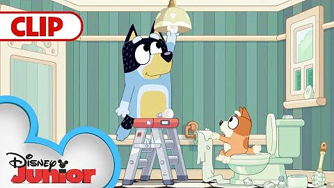 Day In The Life With The Heelers 💙 | Bluey | @Disney Junior