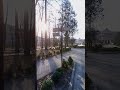 Моршин 🌳🍀🌲