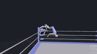 Cartwheel Moonsault Kick