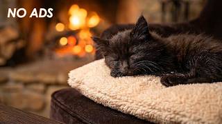 🐱 12 Hours of Soft Music for Cats | Relaxing Ambient Sounds for Sleep, Calm & Anxiety Relief. screenshot 4