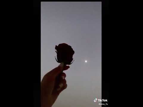 لا تزيد الجروح عبدالله ال فروان