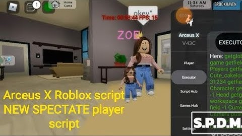 arceus x script (new spectate player script working) download link