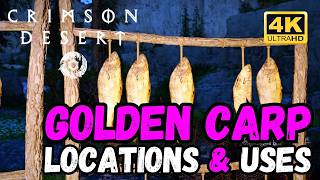 Crimson Desert | Golden Carp Locations & Uses 🐠 4K 60FPS #crimsondesert