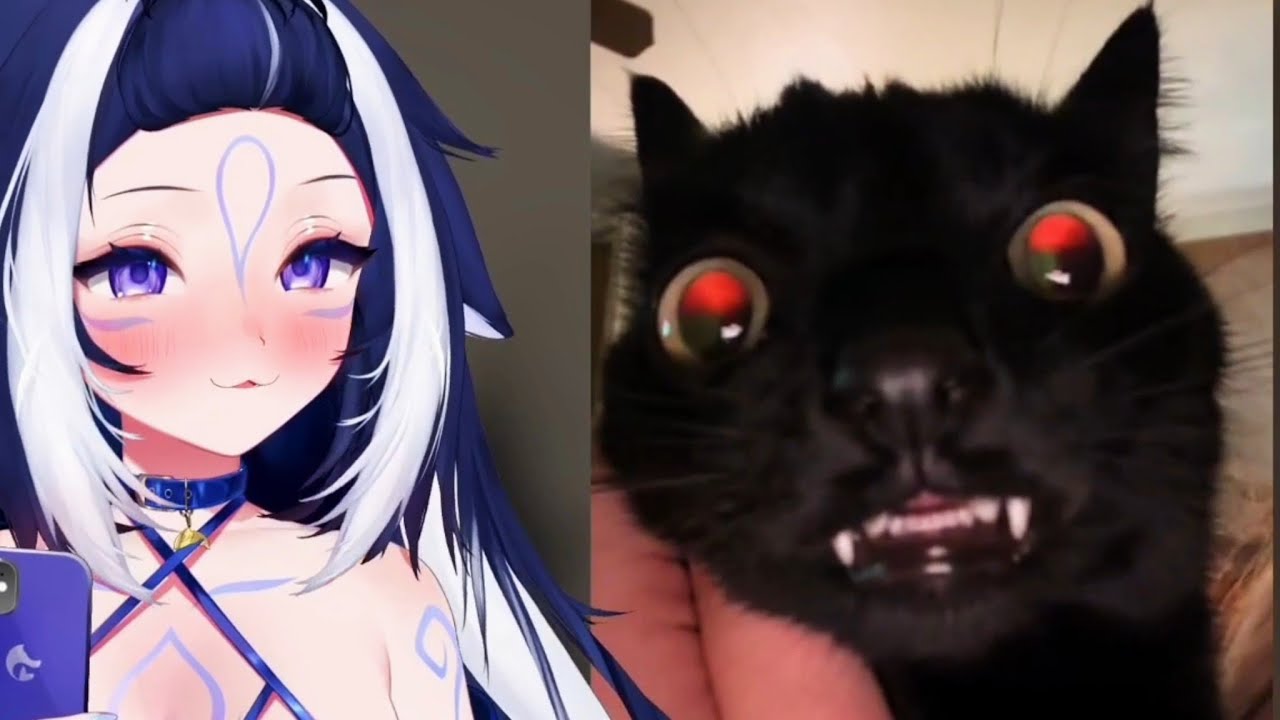 Shylily Reacts To Funny TikTok Video | First Time Watching Such 🦐