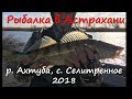 Рыбалка в Астрахани. Харабали, с.Селитренное. Апрель 2018. Ловля судака, щуки и окуня на ерике.