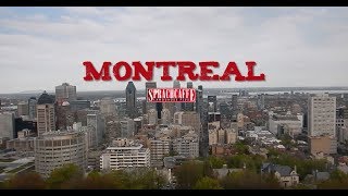 Cursos de inglés en Montreal, Canadá – Sprachcaffe Montreal Study Abroad In Canada Sprachcaffe Language Schools