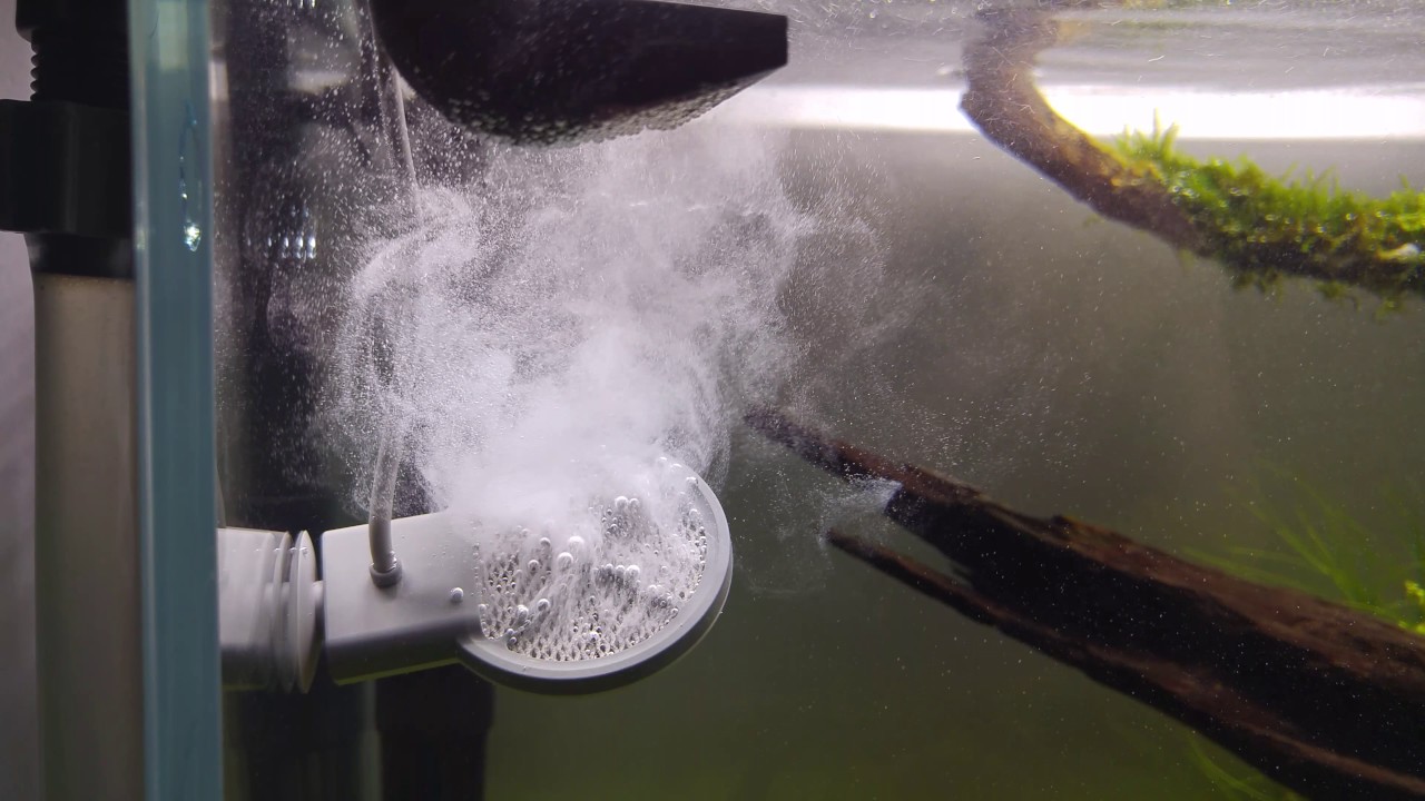 Twinstar M5 | How it works