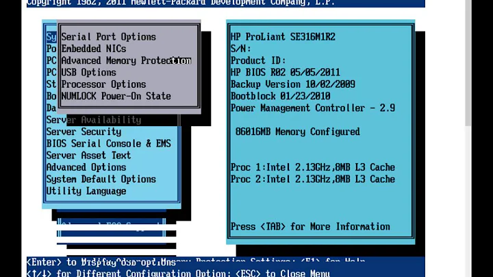 HP Proliant SE316M1 boot test - HP iLO2 Remote Console