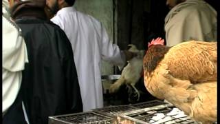 Chicken meat sale on Eid in New Delhi