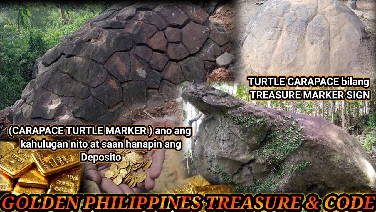 (CARAPACE TURTLE MARKER ) ano ang kahulugan nito at saan hanapin ang Deposito