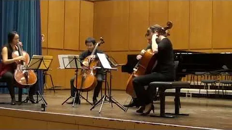 Strauss - Pizzicato Polka