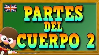 PARTES DEL CUERPO HUMANO 2 EN INGLÉS    APRENDE INGLÉS CON MR PEA ENGLISH FOR KIDS