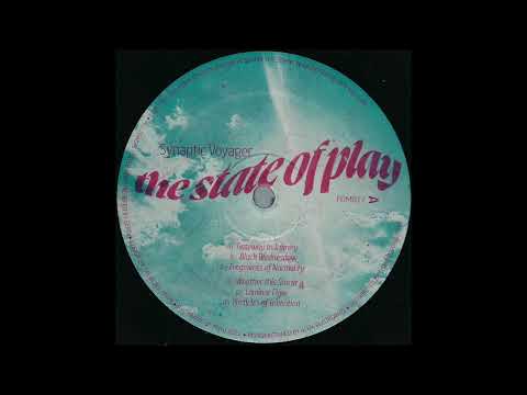 Synaptic Voyager — Synaptic Voyager - Particles Of Invention (Frame Of Mind)