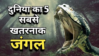 दुनिया का 5 सबसे बड़ा एवं खतरनाक जंगल / Top 5 Largest and DANGEROUS Forest in World