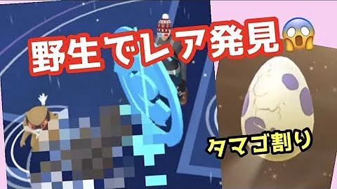 ポケモンgo野生ポケマン