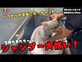 シャンプーで大暴れ！？ポメチワの噛み犬トリミング！！