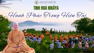 Tinh Hoa NIKAYA - Hạnh Phúc Trong Hiện Tại