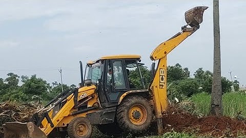 Jcb removing palmyra palm trees || Land boarders cleaning || Jcb videos