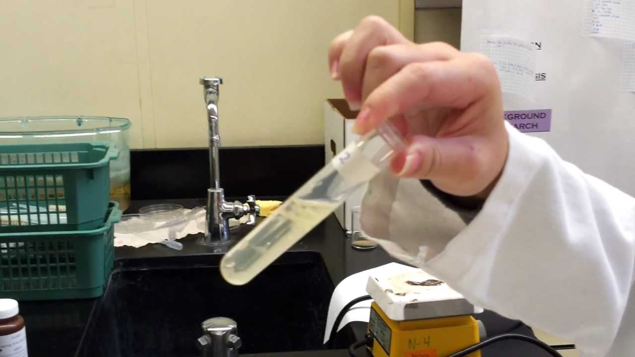 Enzyme Lab Effects of pH on Papain YouTube