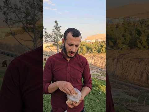 فوائد المحلب العظيمه شاهد