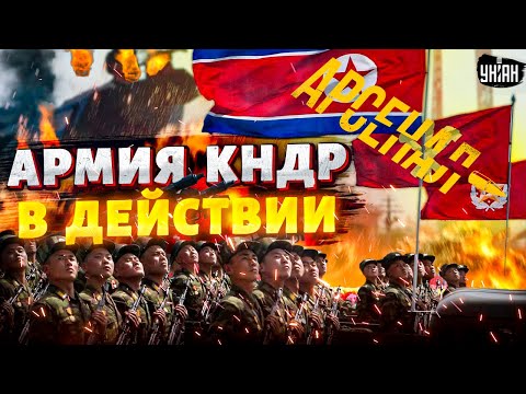 Это надо видеть!