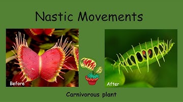 Nastic Movements | Nyctinasty | Chemonasty | Seismonasty