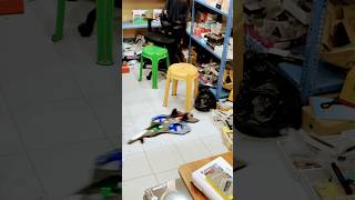 Flying Aircraft Starting From 1650 Best Deal Prime Communications