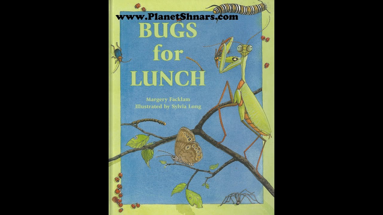 Bugs for Lunch - Margery Facklam - Bedtime Story - with Narration - YouTube