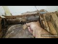 MOBILE HOME RENOVATION and REMODEL UPDATE KITCHEN WALL AND FLOOR EP.9