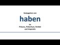 HABEN - to have - يملك، يكون لدى - Konjugation deutscher Verben/Conjugation of German verbs