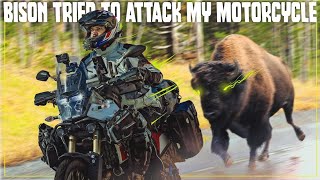Yellowstone NATIONAL PARK: Bison Tried to attack my motorcycle | EP 3 by Alex Chacon 5,161 views 1 year ago 14 minutes, 59 seconds
