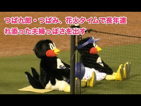 つば九郎 つばみ 花火タイムで長年連れ添った夫婦っぽさを出す Youtube