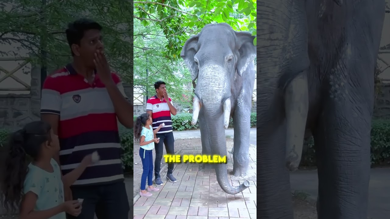 This Statue Was Sad! 🗿😢💔