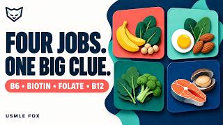 B6, Biotin, Folate & B12 Explained From Zero | USMLE Step 1