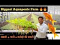 मछली से उगने वाली सब्जी करोड़ो की || Biggest Aquaponic Farm || Hello Kisaan