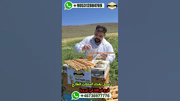 غذاء ملكات النحل البلدي مع العسل خلطة الطاقة مناحل غذائيات المونة تركيا اوربا المانيا عسل 