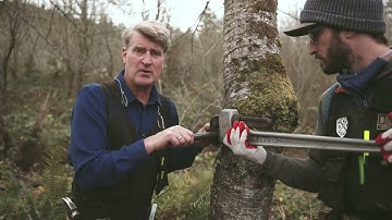 Tree Fort Hardware: Treehouse Attachment Bolt (TAB) Installation