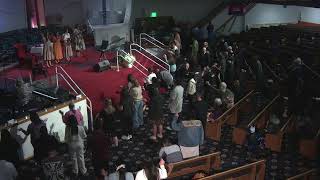 Download Lagu NHMofdenver Live Stream MP3