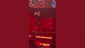Sean Paul Live Budweiser stage